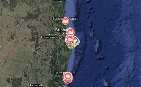 Whale & Dolphin Tracker Live Sightings Map 